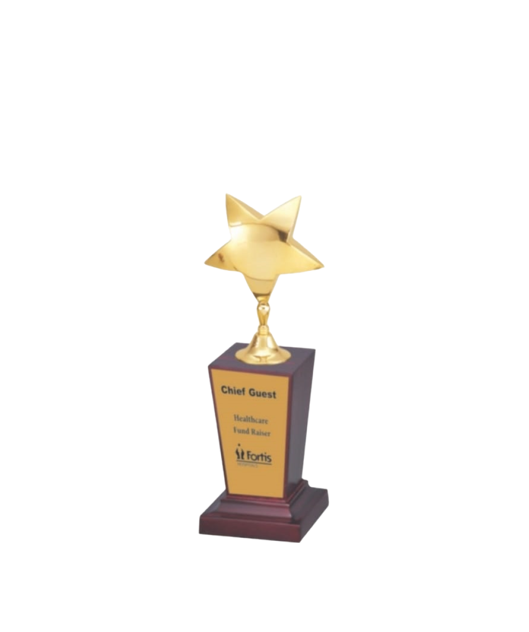 MG-TM22 - Golden Star Trophy (Only Star with Fitting)(MOQ - 50 Pcs)