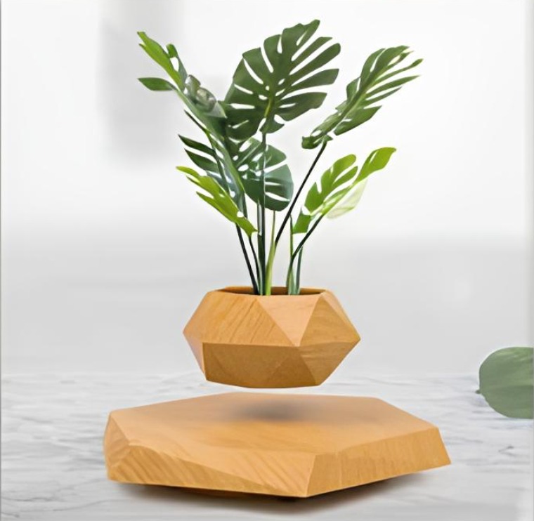 IG-09 Plant Holder