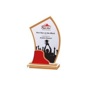 Acrylic Trophies (L:7.5" X W:3.75")