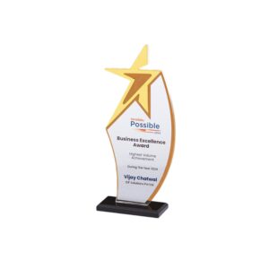 Acrylic Trophy – Premium Award (8.5” x 6.5”)