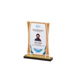 Premium Acrylic Trophy Award (L:7.75" X W:4") – Elegant Recognition Trophy