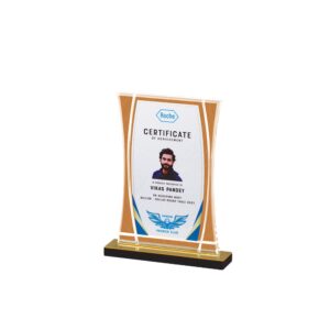 Premium Acrylic Trophy Award (L:7.75" X W:4") – Elegant Recognition Trophy