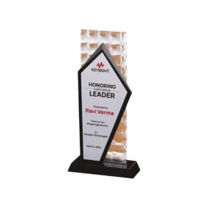 Premium Acrylic Trophy Award (L:10.5") – Elegant Recognition Trophy