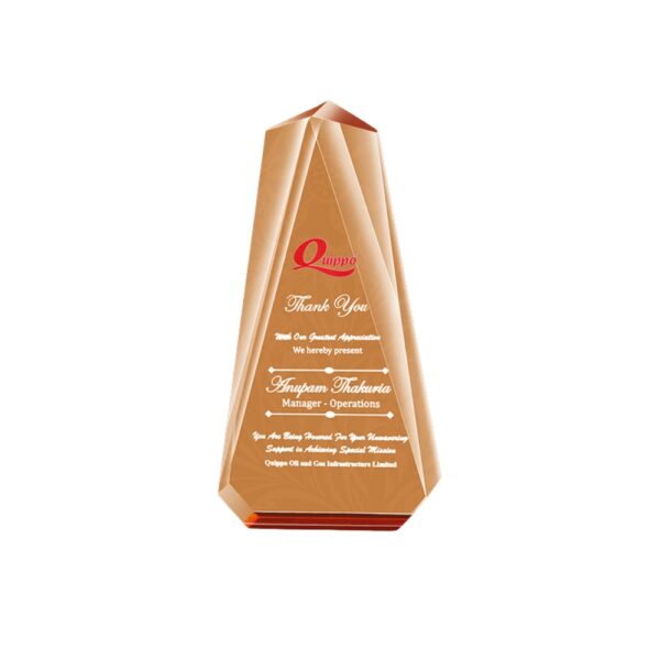 Premium Acrylic Trophy Award (L:9" X W:3.5") – Elegant Recognition Trophy