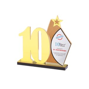 Premium Acrylic Trophy Award (L:8.5" X W:7.75") – Elegant Recognition Trophy
