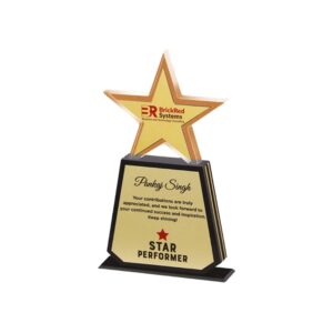 Premium Acrylic Trophy Award (L:9") – Elegant Recognition Trophy