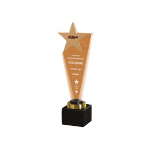 Premium Acrylic Trophy Award (L:13") – Elegant Recognition Trophy