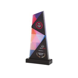 Premium Acrylic Trophy Award (L:12") – Elegant Recognition Trophy