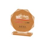 Premium Glass Trophy Award (L:6.5" X W:6") – Elegant Recognition Trophy